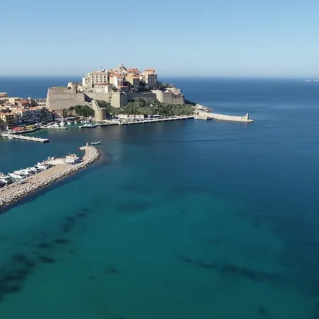 Les Arbousiers 2* كالفي